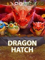 Dragon Hatch